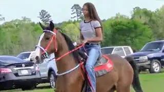 Cowgirl Riding a Flashy Bay Tennessee Walking Horse at Annual Onsight Trail Ride