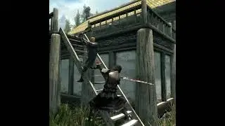 Ralof VS Vilkas Skyrim fight #Shorts