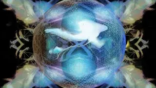 Synthesis - live improvised audio visual journey for calm and connection
