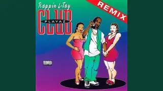 Playaz Club (Flav' Club Mix Mix)
