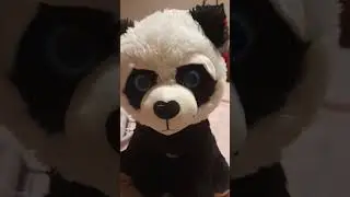 panda #mikef.1347#