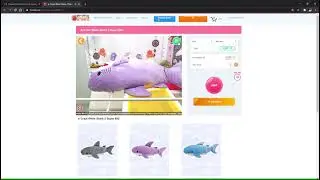 Playing Toreba Online Claw Machine with Real Prizes