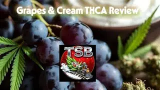 Grapes & Cream THCA Review - TSB - THCA Small Buds - Chief Freedom's Hemp Reviews