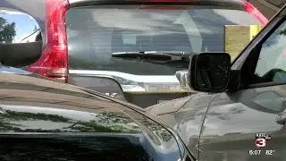 Visitors to Festival International run into parking issues