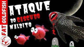 Cascudos e carpas atacando kinguios, seria isso normal?