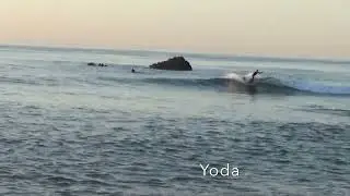 Boss & Yoda's Crew Day 01/31/26