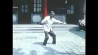 Lei Muni - Chen Taijiquan, Lao Jia Er Lu