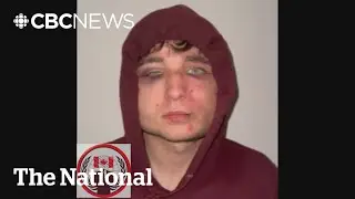 Kidnapper admits torturing 'Crypto King' Aiden Pleterski