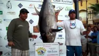 CatchStat | 2012 Bisbee's Los Cabos Offshore Tournament Fish #14371