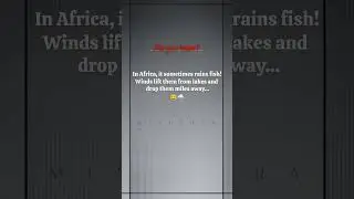 Fish rain🧐🐠 #youtubeshorts #fish #rain #geography #africa #us #uk #canada #information