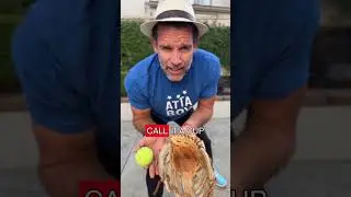 Ваш ребенок боится мяча? 👀