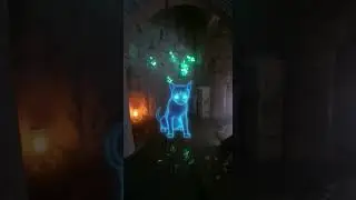 Daily Cat Quest: Entering the Forbidden Temple of Doom 💀