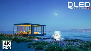 Ultimate 4K HDR Video 120FPS | Dolby Vision OLED Test Demo