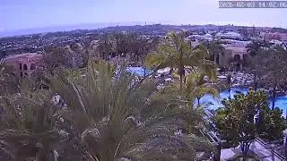 Emisi&oacute;n en directo de Palm Oasis