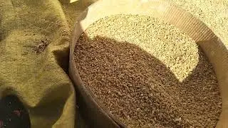 23 دجنبر 2025
