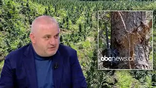 Artan Hoxha zbulon &ldquo;Gorrillan&rdquo;, kultivuesit e ruajne me kamera: Ka cmim marramendes ne treg