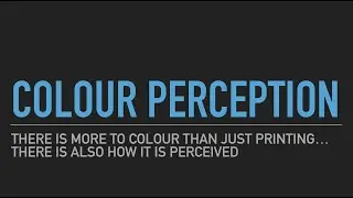 Lecture 8 - Colour Perception