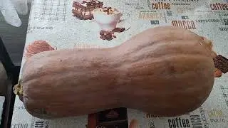 Мой день. Замораживаю зелень на зиму. Тыквенно яблочный пирог к чаю.