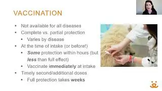 Disease transmission and prevention in shelters webinar with Dr. Erin Katribe