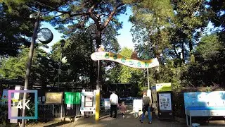 Walking Saitama 4K - Autumn Sun Light in Omiya Park - Shortest Way from Omiya Station