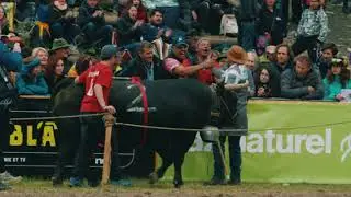 Finale Nationale de la Race d'H&eacute;rens - Trailer