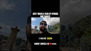 DEEP TRAVELS FEAR OF SPIDERS AND SNAKES🕷️🐍 #clips #explore #australia  #spider #snake #wildlife