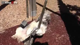 Just for fun  vol 1