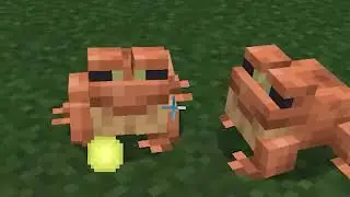 A LOT OF FROG CHANGES! | Minecraft Bedrock Beta 1.18.20.23