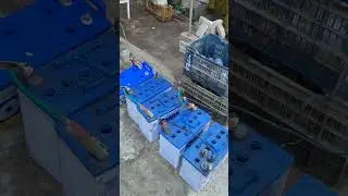 How To Charge Multiple 12 Volts Batteries At Same Time With One Big Charger #electricity