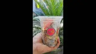 video Iklan pentol setan