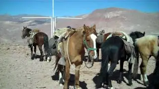 Horse Riding Holiday Chile Atacama Desert Unicorn Trails