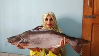 এতো বড় পাঙ্গাস মাছ কখনো দেখেছেন? ৭ কেজির পাঙ্গাস মাছের স্পাইসি ভুনা।