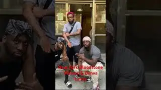 #050damovement #hoodlove #hoodstories #harlemlegendtv #hassancampbell #bloods #newyork