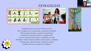 ESTRATEGIAS NEUROPSICOLÓGICAS