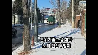분위기좋고 송대관 노래 먼산부엉이 