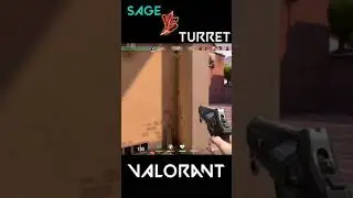 Sage vs Killjoy Turret | Valorant funny moments | EL Gaming #Shorts