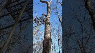 Don't Hang a Deer Stand Like This 🤦&zwj;♂️ | #safety #deerhunting