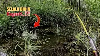TARIKANNYA SUSAH DI TEBAK..!!! || MANCING TEGEK DI KANAL KEBUN KELAPA SAWIT