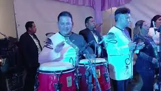 Bajo (graves) en vivo: dbx PA2 (EQ + Compresor/Limitador) con Magia Musical