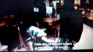 Pigs On Parade on TG4