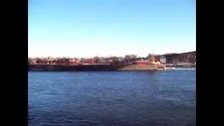 ATB 'Nicole Leigh Reinauer' w/ RTC-135