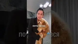11 февраля 2026 г.