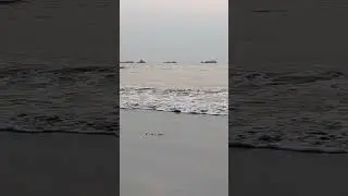 Sea Web (Kuakata)
