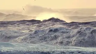 Ocean Energy