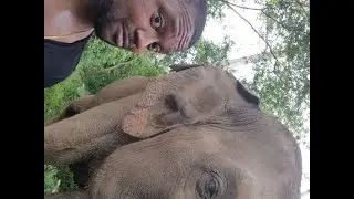 Elephant Haven, Kanchanaburi Thailand