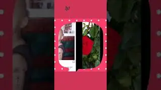 Lil Nankoxxxz___ WLYD