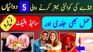 Supplements & Medications to Boost Egg Quality & Ovulation |How to Improve Egg Quality for Pregnancy