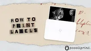 PoooliPrinter&reg; XL - How to print labels?