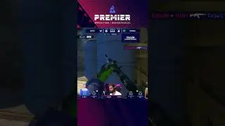 Prime FalleN says hello!
