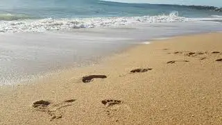 Fal&eacute;sia Waves